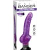 Wall Banger – Vibrating Dildo – Purple