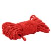 Scandal BDSM Rope 32.75ft/ 10m – Red