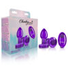 Cheeky Charms – Rechargeable Vibrating Metal Butt  Plug With Remote Control – Purple – Small